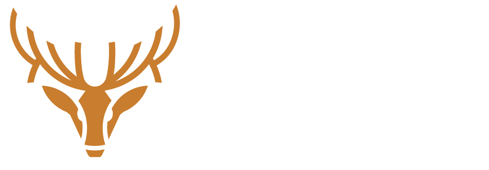 Website logo